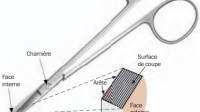 Affutage ciseaux chirurgicaux